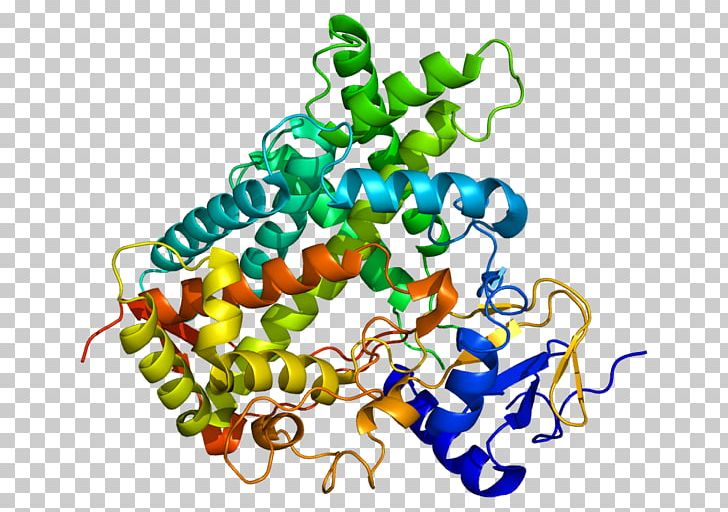 Cytochrome P450 CYP1A2 Enzyme CYP2C19 PNG, Clipart, Art, Artwork, Catalysis, Cyp1a2, Cyp2c19 Free PNG Download