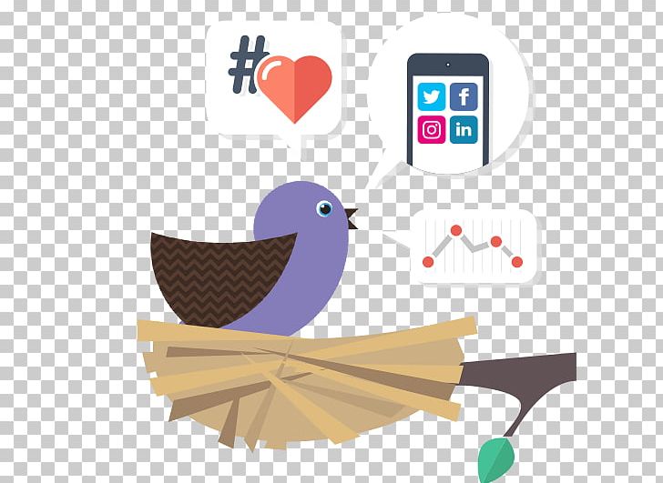 Social Media Social-Media-Manager Public Relations Management PNG, Clipart, Beak, Bird, Brand, Management, Public Relations Free PNG Download