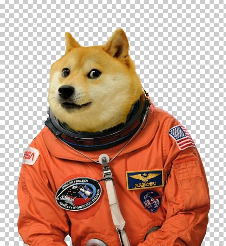Dog Breed United States Doge Astronaut PNG, Clipart, Animals, Astronaut, Carnivoran, Dog, Dog Breed Free PNG Download