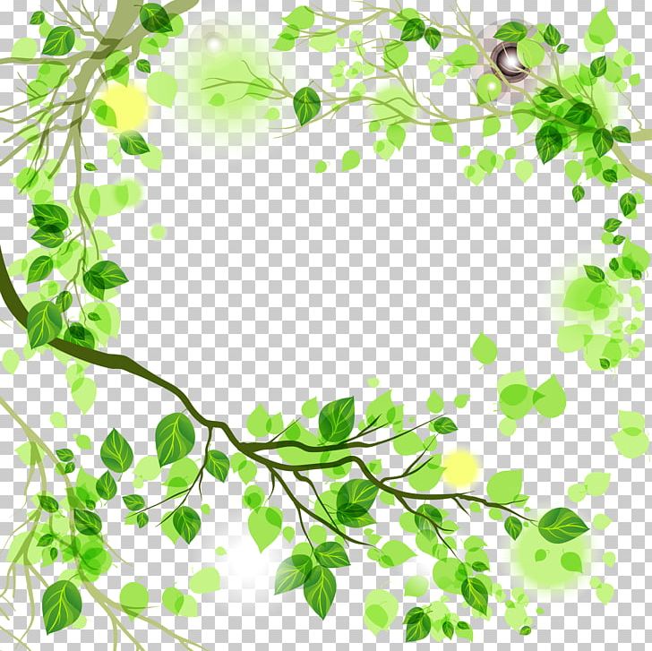 Leaf Green PNG, Clipart, Branch, Branches, Circle, Clip Art, Color Free PNG Download