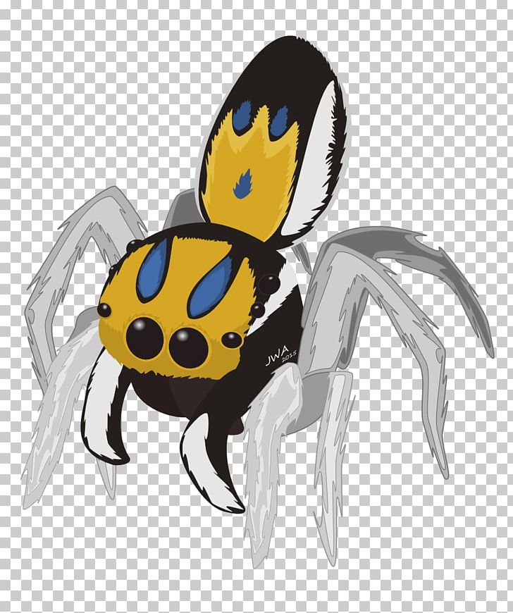 Peacock Spider Jumping Spider PNG, Clipart, Arthropod, Cartoon, Desktop Wallpaper, Fictional Character, Insect Free PNG Download