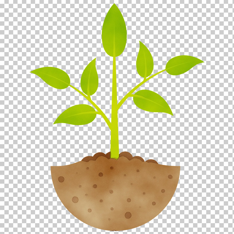 Cartoon Seedling Flowerpot Plant Development Sowing PNG, Clipart, Cartoon, Flowerpot, Houseplant, Leaf, Oak Free PNG Download