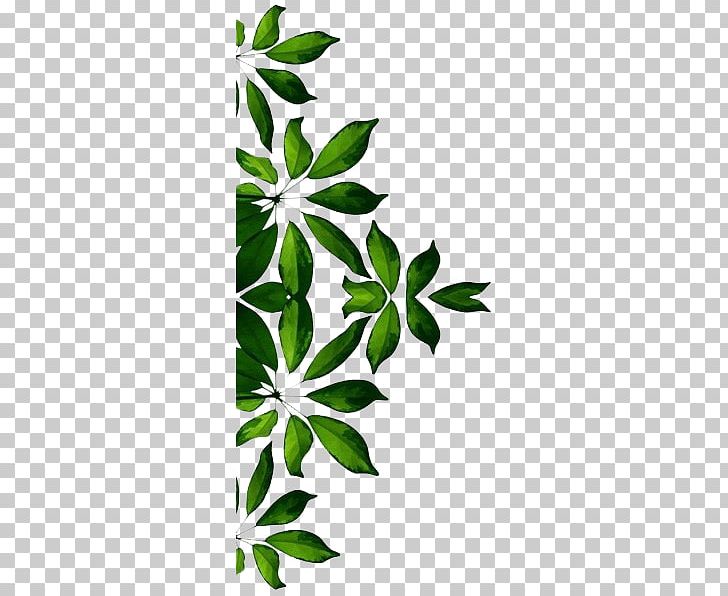 Art PNG, Clipart, Art, Background, Background Flowers, Branch, Flora Free PNG Download