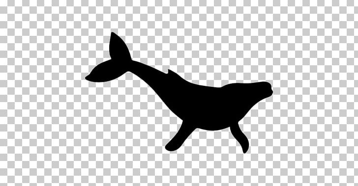 Cetacea Dog Computer Icons PNG, Clipart, Animal, Animals, Beluga Whale, Black, Black And White Free PNG Download