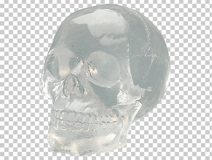 Skull Bone Transparency And Translucency Jaw Glass PNG, Clipart, Art, Bone, Collectable, Color, Crystal Free PNG Download
