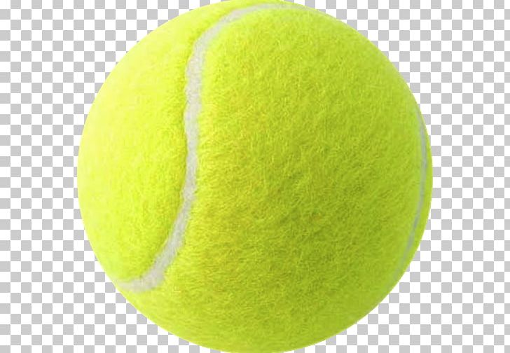 Tennis Balls Racket PNG, Clipart, Ball, Balls, Clip Art, Head, Miscellaneous Free PNG Download