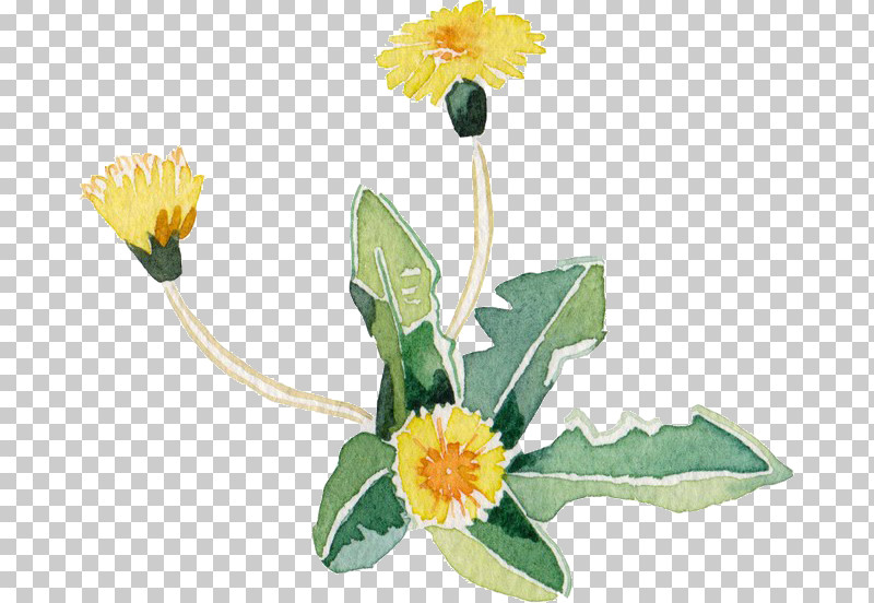 Artificial Flower PNG, Clipart, Artificial Flower, Calendula, Cut Flowers, Daisy, Daisy Family Free PNG Download