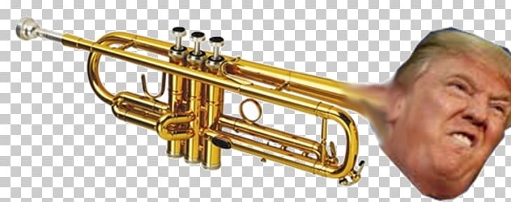 Trumpet Musical Instruments Orchestra Brass Instruments PNG, Clipart, Alto Horn, Brass, Brass Instrument, Brass Instruments, Bugle Free PNG Download