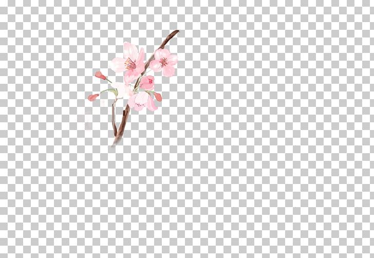 White Qzone Petal Angle Pattern PNG, Clipart, Angle, Blossom, Code, Flower, Flower Bouquet Free PNG Download