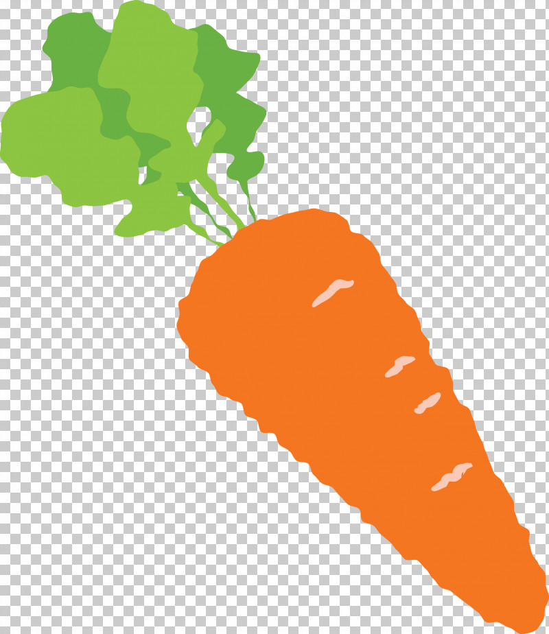 Carrot PNG, Clipart, Biology, Carrot, Fruit, Geometry, Leaf Free PNG Download