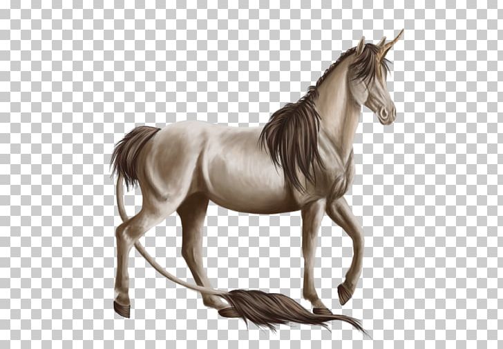 Mustang Stallion Mare Bridle Halter PNG, Clipart, Bridle, Halter, Horse, Horse Like Mammal, Horse Supplies Free PNG Download