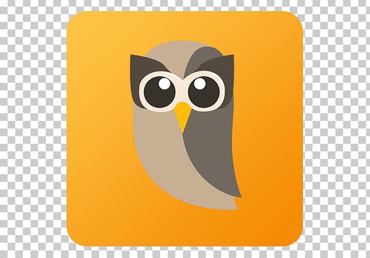 Owl Yellow Bird Of Prey Beak Orange PNG, Clipart, Beak, Bird, Bird Of Prey, Blog, Computer Icons Free PNG Download