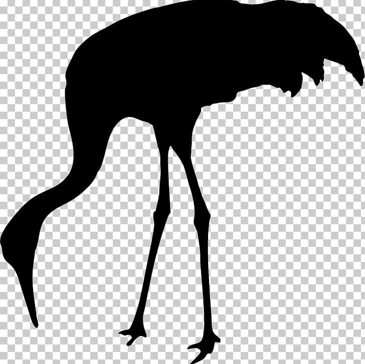 Sandhill Crane Bird Animal Silhouettes PNG, Clipart, Animal, Animal Silhouettes, Beak, Bird, Black And White Free PNG Download