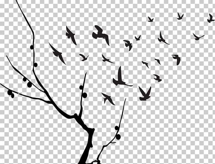 Bird Flight Flock PNG, Clipart, Animal Migration, Area, Beak, Bird, Bird F Free PNG Download