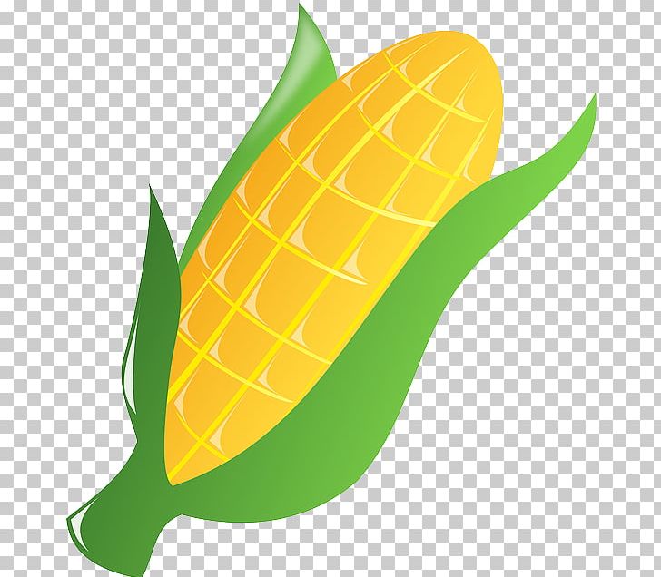 Corn On The Cob Open Ear PNG, Clipart, Agriculture, Commodity, Corn, Corn Clipart, Corn On The Cob Free PNG Download
