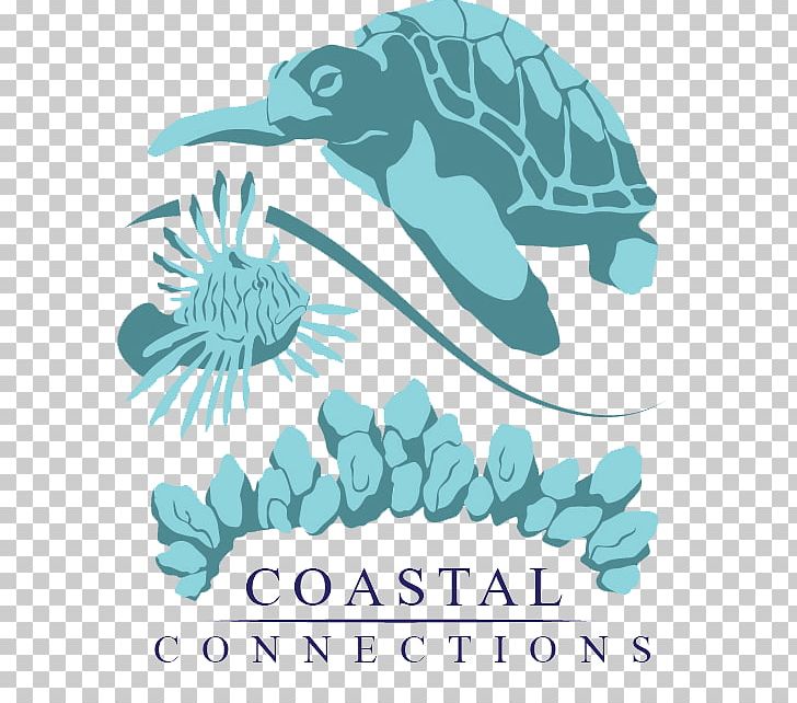 Sea Turtle Captain Hiram's Vero Beach Drawing PNG, Clipart,  Free PNG Download