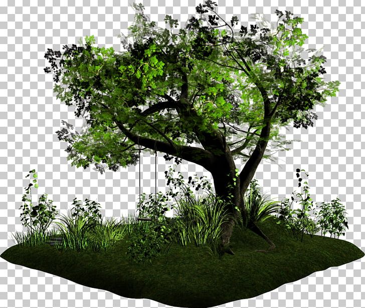 Tree Blog Bonsai Houseplant Mother PNG, Clipart, Animal, Blog, Bonsai, Branch, Christmas Free PNG Download