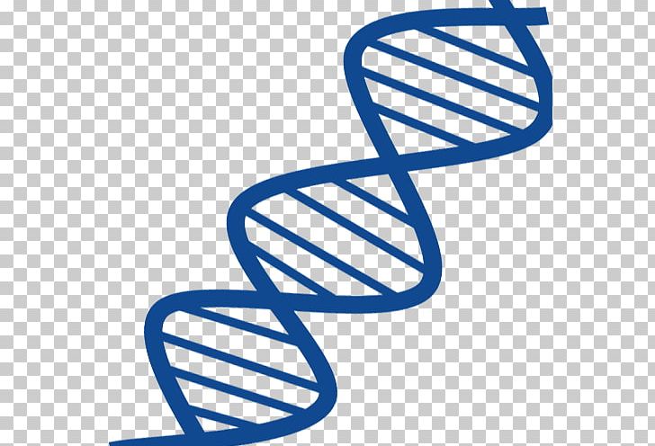 DNA Nucleic Acid Double Helix Gene RNA Nucleic Acid Structure PNG, Clipart, Angle, Area, Biology, Black And White, Blue Free PNG Download