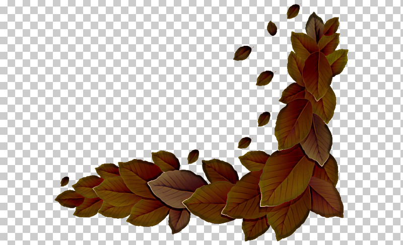 Leaf Petal Plant Science Plant Structure PNG, Clipart, Biology, Leaf, Petal, Plant, Plant Structure Free PNG Download