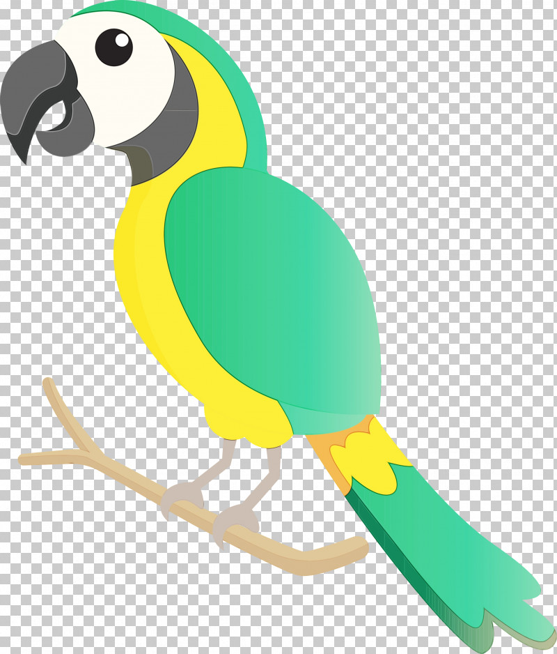 Macaw Parrots Beak PNG, Clipart, Beak, Bird Cartoon, Cute Bird, Macaw, Paint Free PNG Download