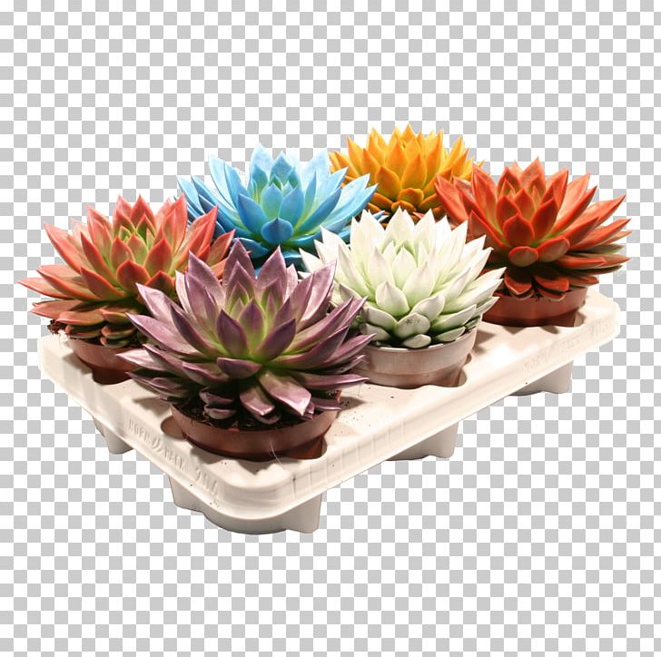 Cut Flowers Flowerpot Artificial Flower Houseplant PNG, Clipart, Artificial Flower, Cut Flowers, Echeveria, Flower, Flowerpot Free PNG Download