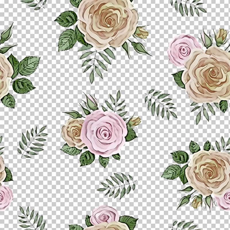 Garden Roses PNG, Clipart, Cabbage Rose, Cut Flowers, Floral Design, Flower, Flower Bouquet Free PNG Download
