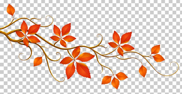 Autumn Leaf Color Branch PNG, Clipart, Autumn, Autumn Leaf Color, Branch, Clipart, Clip Art Free PNG Download