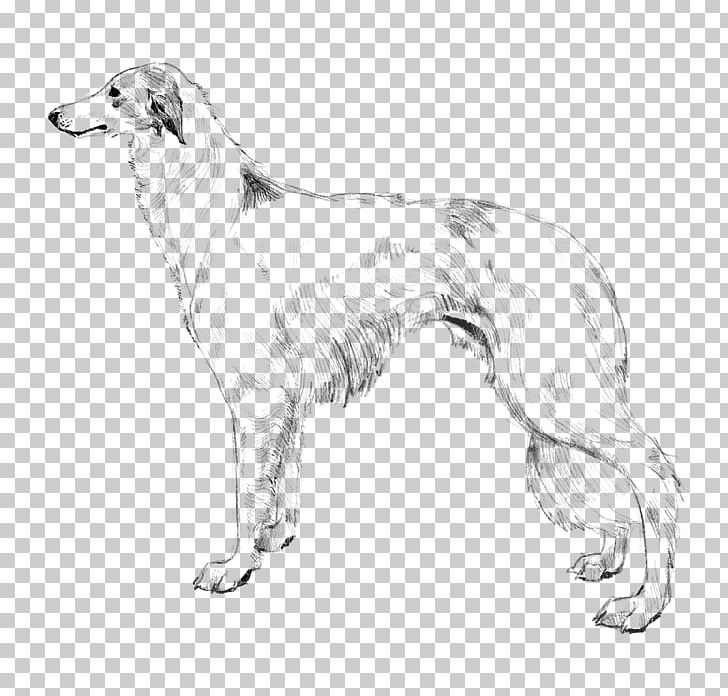Borzoi Silken Windhound Saluki Whippet American Staghound PNG, Clipart, Afghan Hound, American Staghound, Artwork, Black And White, Borzoi Free PNG Download