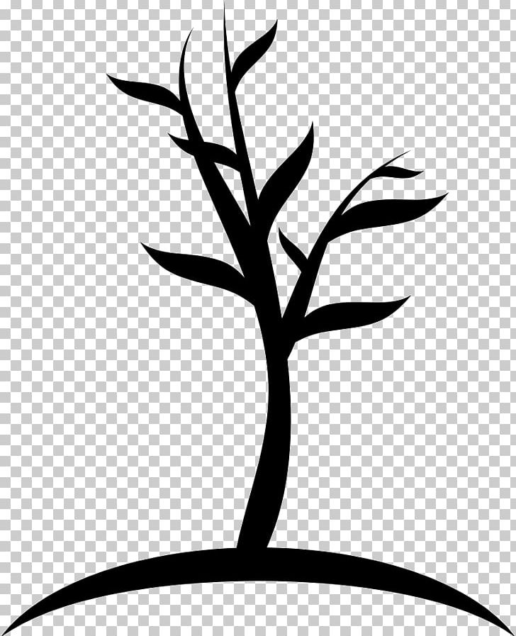 Computer Icons Tree PNG, Clipart, Artwork, Black And White, Branch, Computer Icons, Desktop Wallpaper Free PNG Download