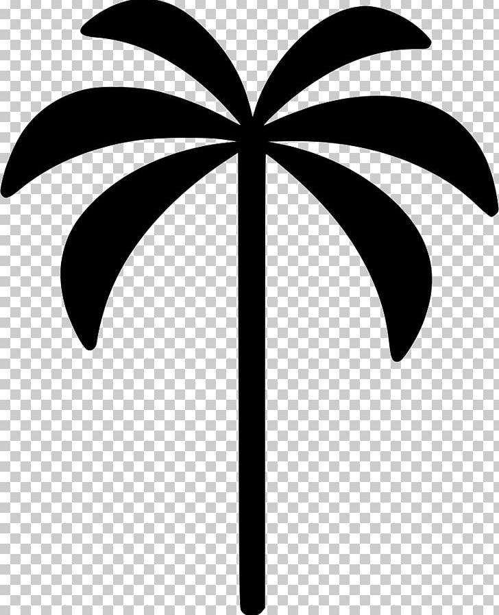 Branch Leaf Plant Stem PNG, Clipart, Arecaceae, Black And White, Branch, Download, Flowering Plant Free PNG Download