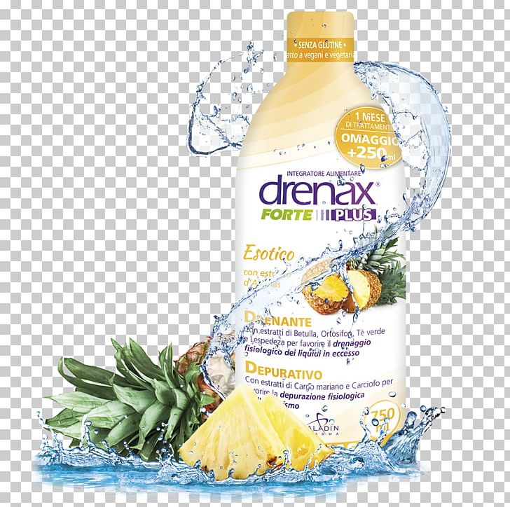Dietary Supplement Fruit Food Paladin Pharma Pineapples PNG, Clipart, Aloe Vera, Bilberry, Capsule, Centella Asiatica, Citric Acid Free PNG Download
