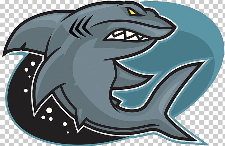 Great White Shark Red Triangle Illustration PNG, Clipart, Balloon Cartoon, Blue Shark, Cartoon Character, Cartoon Eyes, Cartoons Free PNG Download