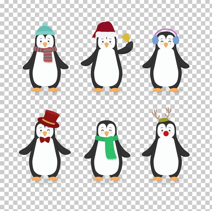 Penguin Bird Cartoon Drawing PNG, Clipart, Animals, Beak, Christmas  Decoration, Christmas Elements, Christmas Frame Free PNG