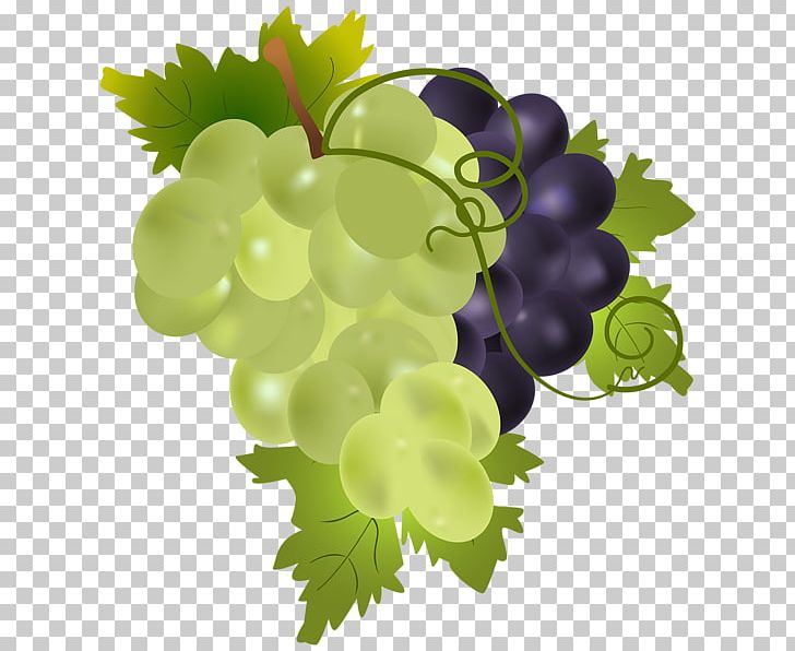 Wine Grape PNG, Clipart, Download, Flowering Plant, Food, Fruit, Fruit Nut Free PNG Download