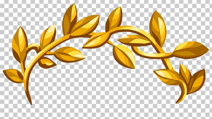 Wreath Clothing Accessories Footwear Headgear PNG, Clipart, Avatan, Avatan Plus, Clothing, Clothing Accessories, Commodity Free PNG Download