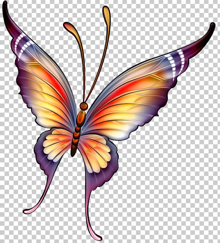 colorful butterfly painting
