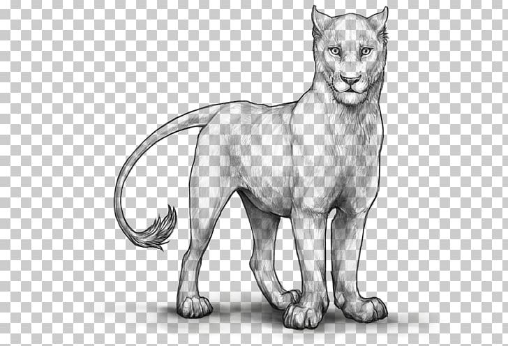 Cat Lion Line Art Drawing Mammal PNG, Clipart, Animal, Animals, Artwork, Big Cat, Big Cats Free PNG Download