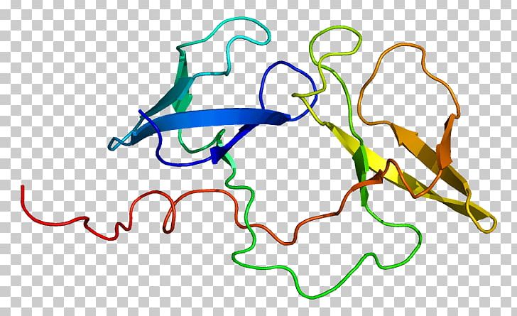 FMR1 Protein Fragile X Syndrome Gene PNG, Clipart, Area, Artwork, Brain, Down Syndrome, Fmr1 Free PNG Download