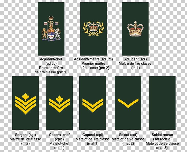 Military Rank Royal Canadian Air Force Canadian Armed Forces Non-commissioned Officer Army Officer PNG, Clipart, Air Force, Grass, Logo, Military, Military Rank Free PNG Download