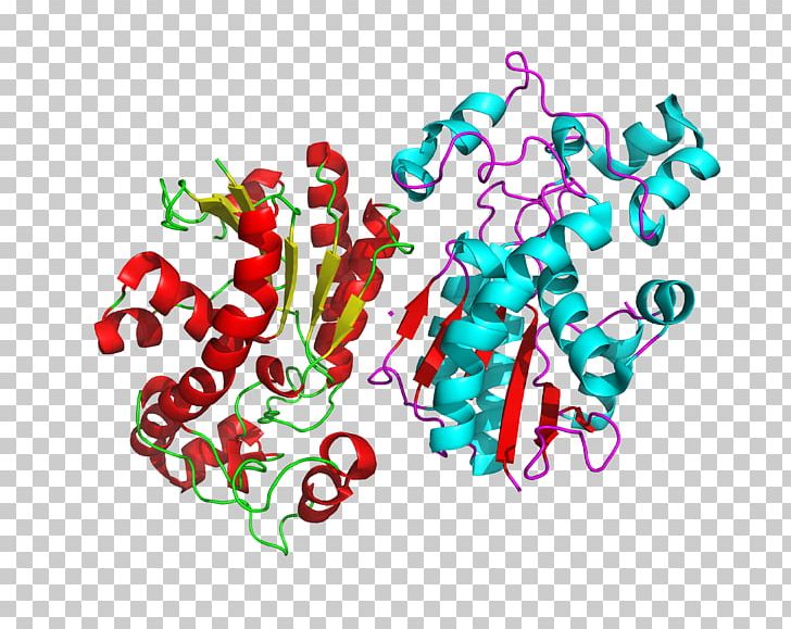 Bisphosphoglycerate Mutase 3-Phosphoglyceric Acid 2 PNG, Clipart, 2phosphoglyceric Acid, 3phosphoglyceric Acid, 13bisphosphoglyceric Acid, 23bisphosphoglyceric Acid, Alkaline Phosphatase Free PNG Download