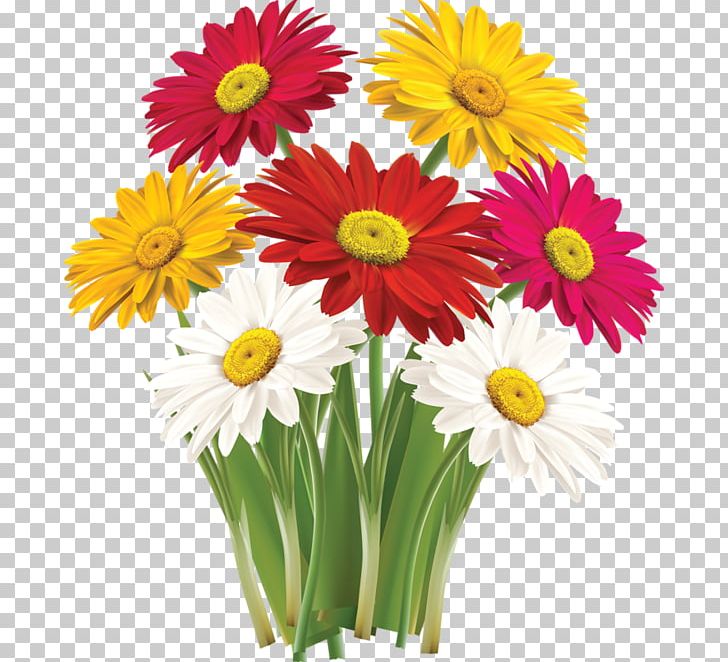 Flower Greeting & Note Cards PNG, Clipart, Annual Plant, Aster, Chrysanths, Cut Flowers, Daisy Free PNG Download