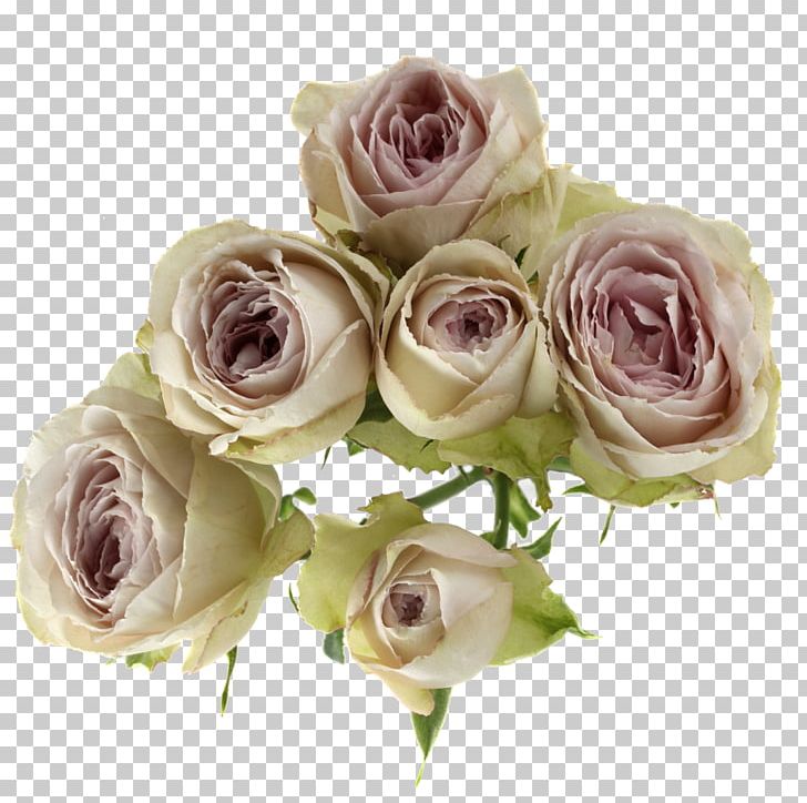 Garden Roses Cabbage Rose Cut Flowers Flower Bouquet Floral Design PNG, Clipart, Artificial Flower, Blossom, Cut Flowers, Floral Design, Floristry Free PNG Download