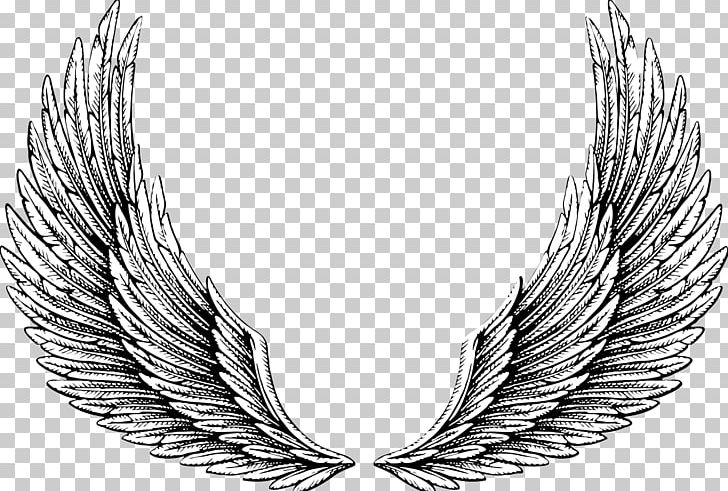 Graphics Drawing Illustration Tattoo PNG, Clipart, Art, Black And White, Drawing, Feather, Line Free PNG Download