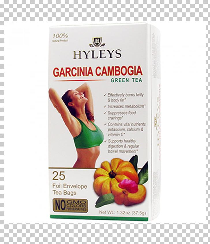Green Tea Garcinia Cambogia Green Coffee Tea Bag PNG, Clipart, Coffee Bean, Diet, Epigallocatechin Gallate, Extract, Food Free PNG Download