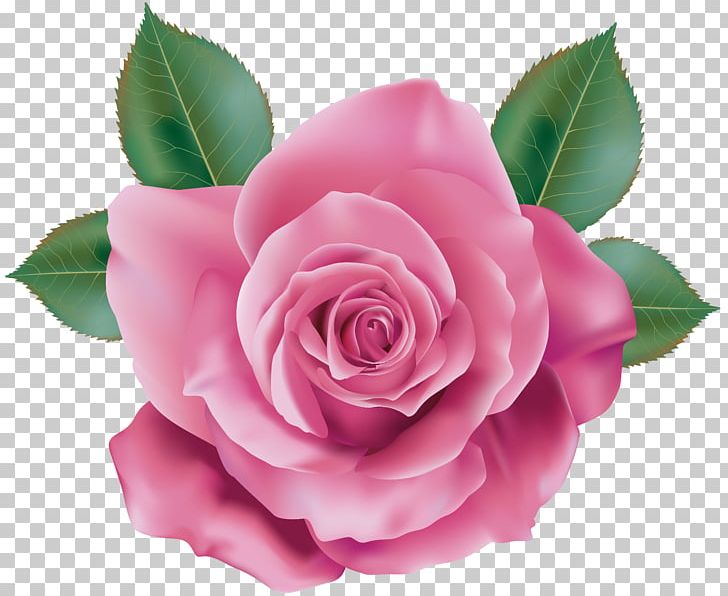 Rose Pink Quartz PNG, Clipart, Art, Artificial Flower, Camellia, China Rose, Clipart Free PNG Download