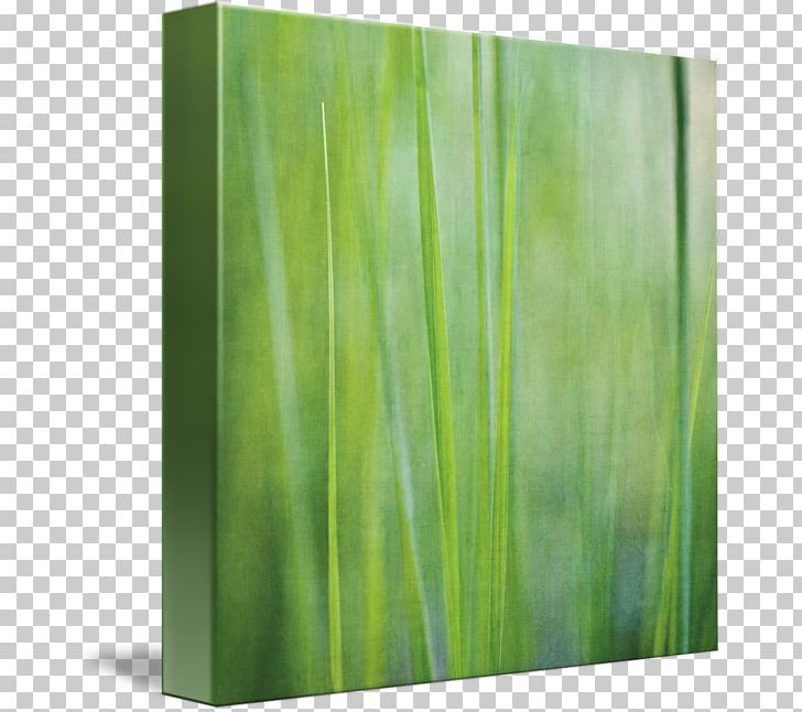 Gallery Wrap Modern Art Canvas Lawn PNG, Clipart, Art, Canvas, Gallery Wrap, Gazon, Grass Free PNG Download