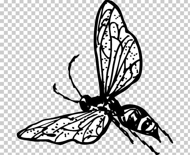 Hornet Bee Wasp PNG, Clipart, Arthropod, Artwork, Bee, Black And White, Brush Footed Butterfly Free PNG Download