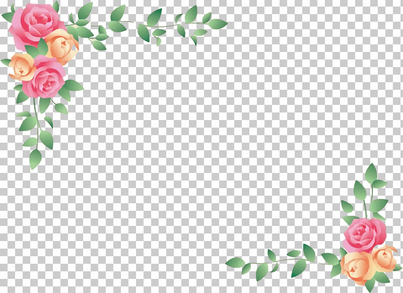 Garden Roses PNG, Clipart, Anniversary, Birthday, Candy, Chocolate, Cut Flowers Free PNG Download