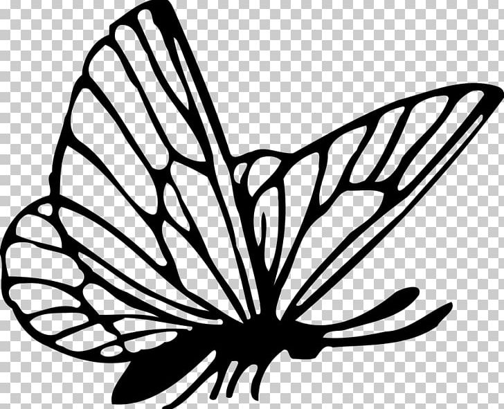 Butterfly Drawing PNG, Clipart, Artwork, Black And White, Brush Footed Butterfly, Flower, Insects Free PNG Download