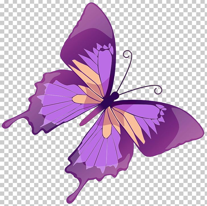Butterfly Purple Free Content Color PNG, Clipart, Arthropod, Blog, Bluegreen, Brush Footed Butterfly, Butterfly Free PNG Download